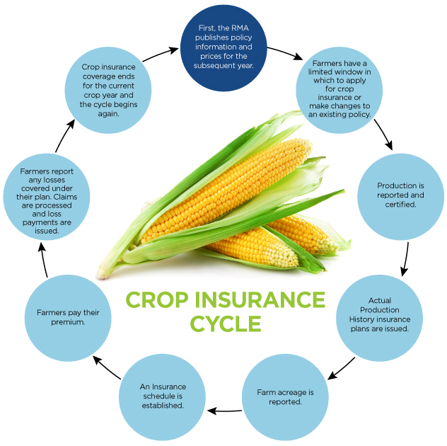 How crop insurance works graph image