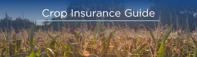 crop insurance guide image