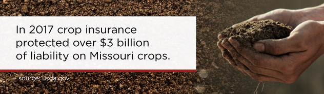 missouri crop insurance image