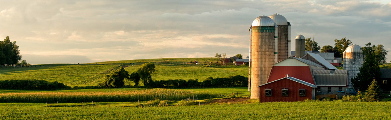 Farm scene with barn and silos.